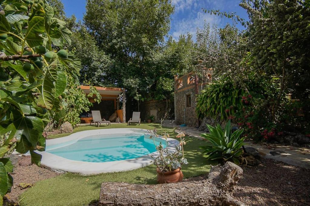 Los Matos, Canarian House In Valleseco Exterior foto