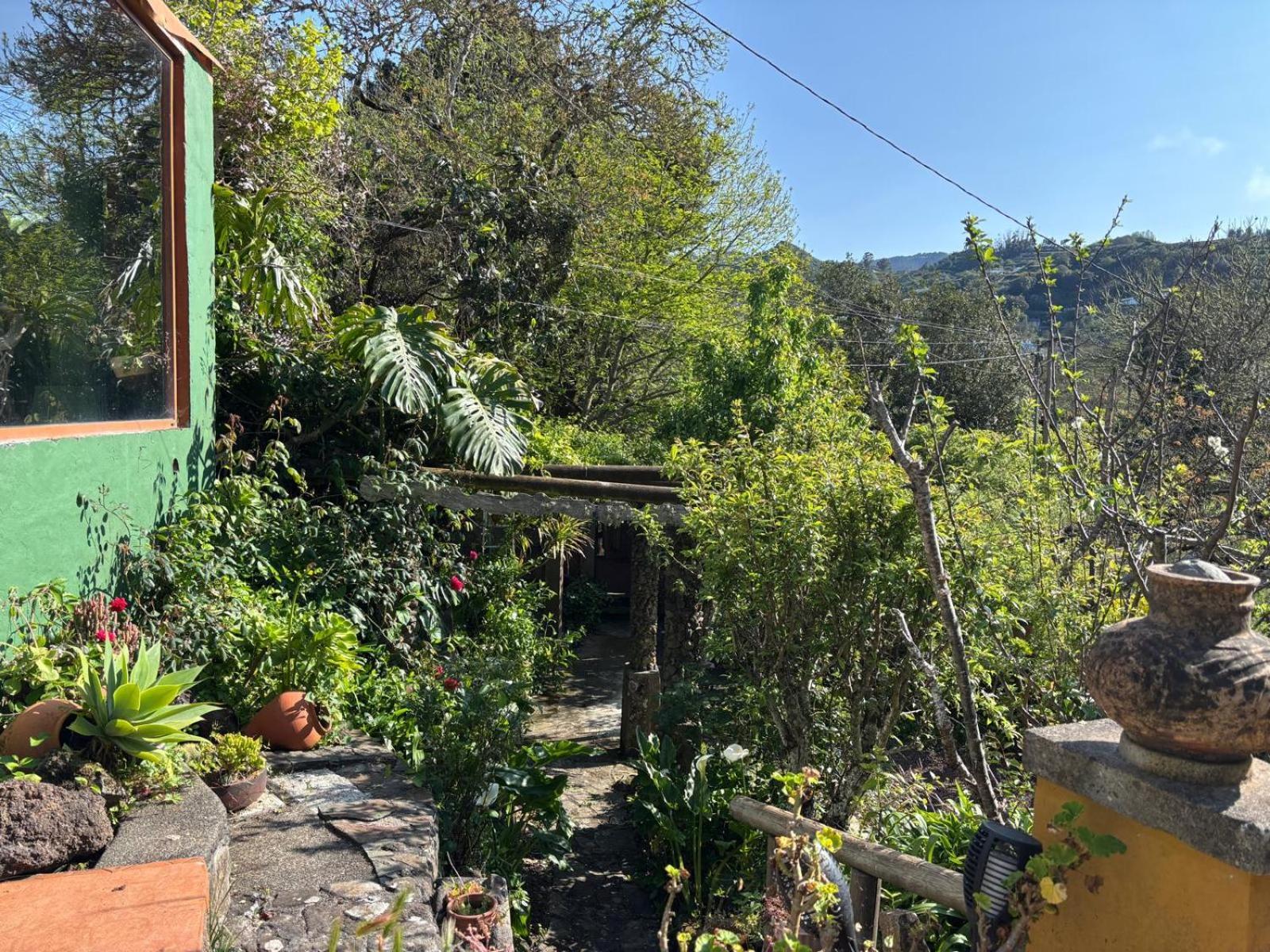 Los Matos, Canarian House In Valleseco Exterior foto